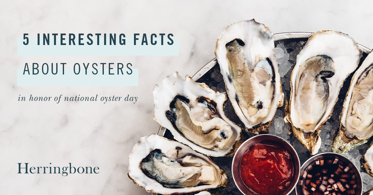 5 Facts for National Oyster Day